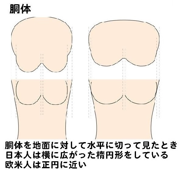 脇肉キャッチャーvs脇肉革命 着レポ 1 Iherbやひまし油の使い方 そこそこホリスティック